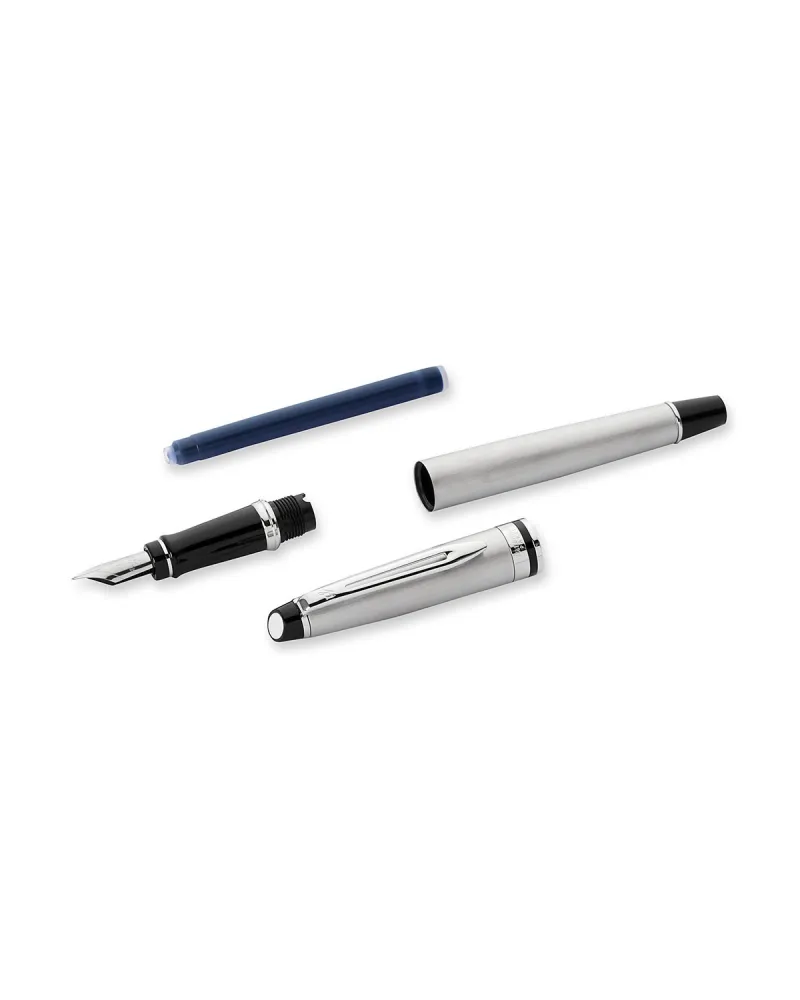 Pióro wieczne Waterman Expert stalowe CT [S0952040] - Watermansklep.com