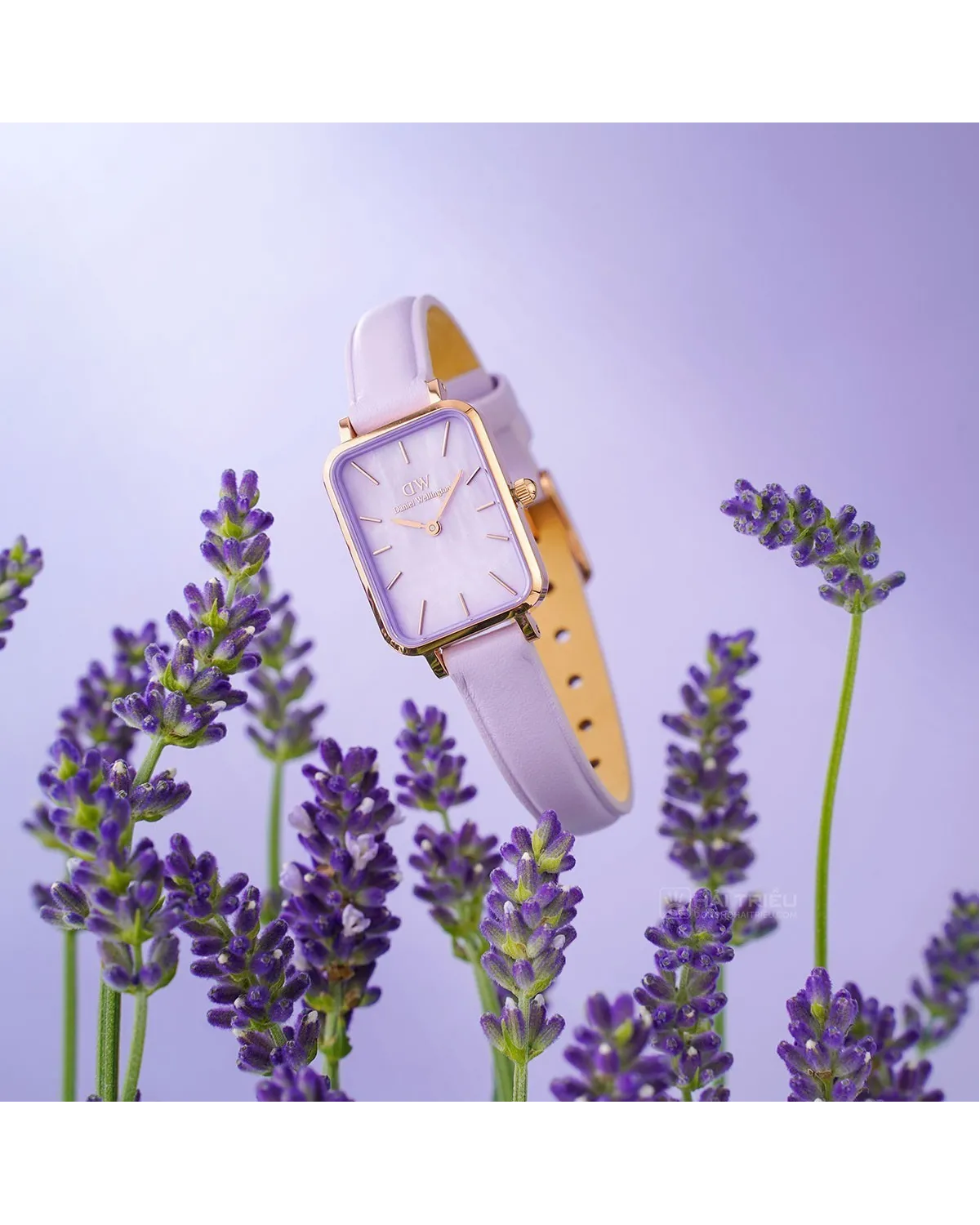 ZEGAREK DAMSKI DANIEL WELLINGTON Quadro Lavender Mop 20mm DW00100637 + BOX (zw521b)