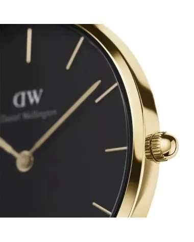 ZEGAREK DAMSKI DANIEL WELLINGTON DW00100347 - PETITE EVERGOLD 32mm (zw500e)