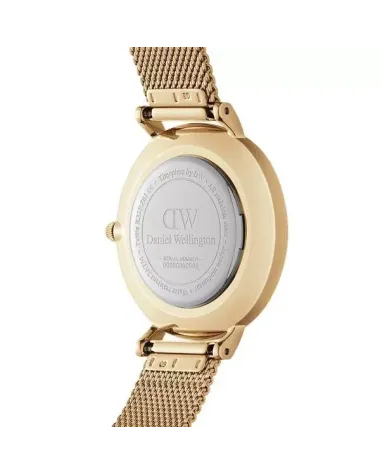 ZEGAREK DAMSKI DANIEL WELLINGTON DW00100347 - PETITE EVERGOLD 32mm (zw500e)