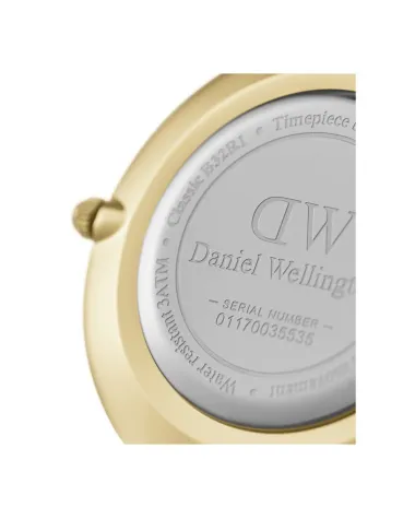 ZEGAREK DAMSKI DANIEL WELLINGTON DW00100349 - PETITE EVERGOLD 28mm (zw501c)