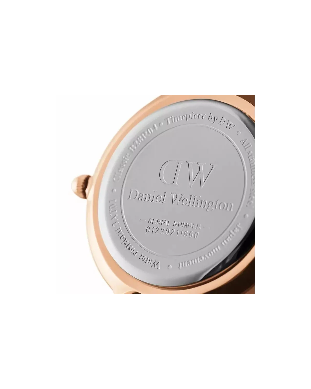 ZEGAREK DAMSKI DANIEL WELLINGTON DW00100219 - PETITE MELROSE 28mm (zw501a)