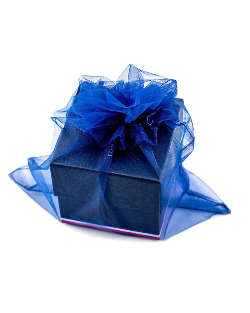 ZEGAREK MĘSKI TOMMY HILFIGER 1710569 Legend (zf107a) + BOX