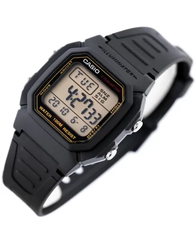 ZEGAREK MĘSKI CASIO W-800HG-9AVDF KLASYKA + BOX