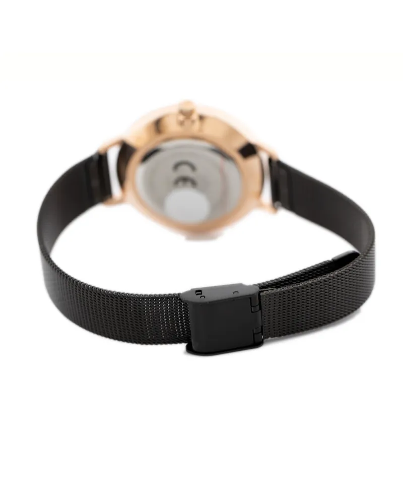 ZEGAREK DAMSKI PERFECT F356 (zp510c) + BOX
