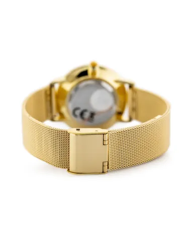 ZEGAREK DAMSKI PERFECT F205 (zp983d) + BOX