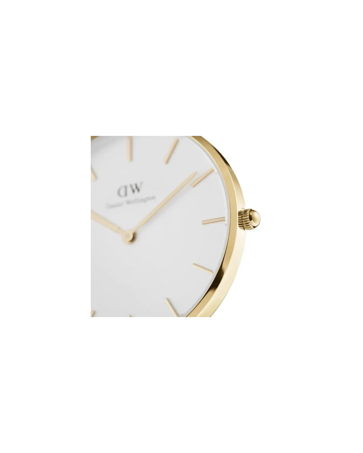 ZEGAREK DAMSKI DANIEL WELLINGTON DW00100350  - Petite Evergold 28mm