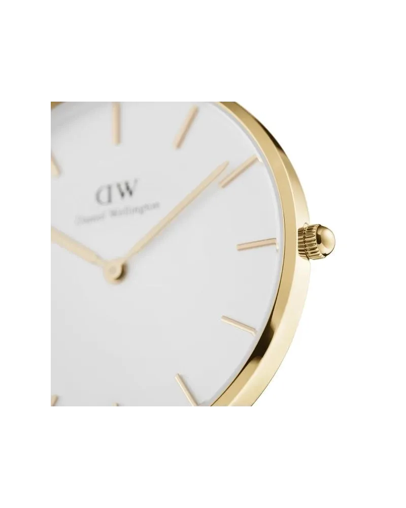 ZEGAREK DAMSKI DANIEL WELLINGTON DW00100350  - Petite Evergold 28mm
