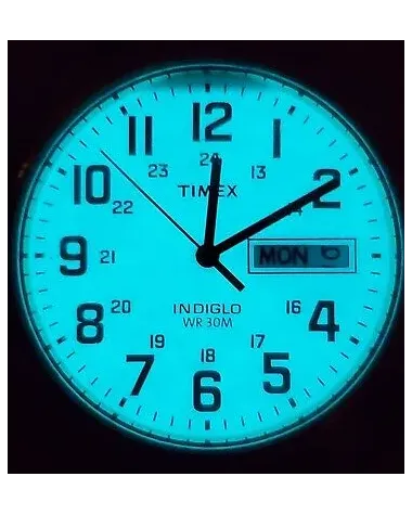 ZEGAREK MĘSKI TIMEX South Street Sport T2M932 + BOX