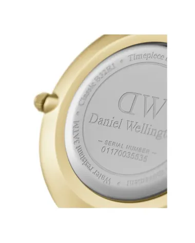ZEGAREK DAMSKI DANIEL WELLINGTON DW00100345 - PETITE EVERGOLD 36mm (zw500f) ZEGAREK DAMSKI DANIEL WELLINGTON DW00100345 - PETITE EVERGOLD 36mm (zw500f)