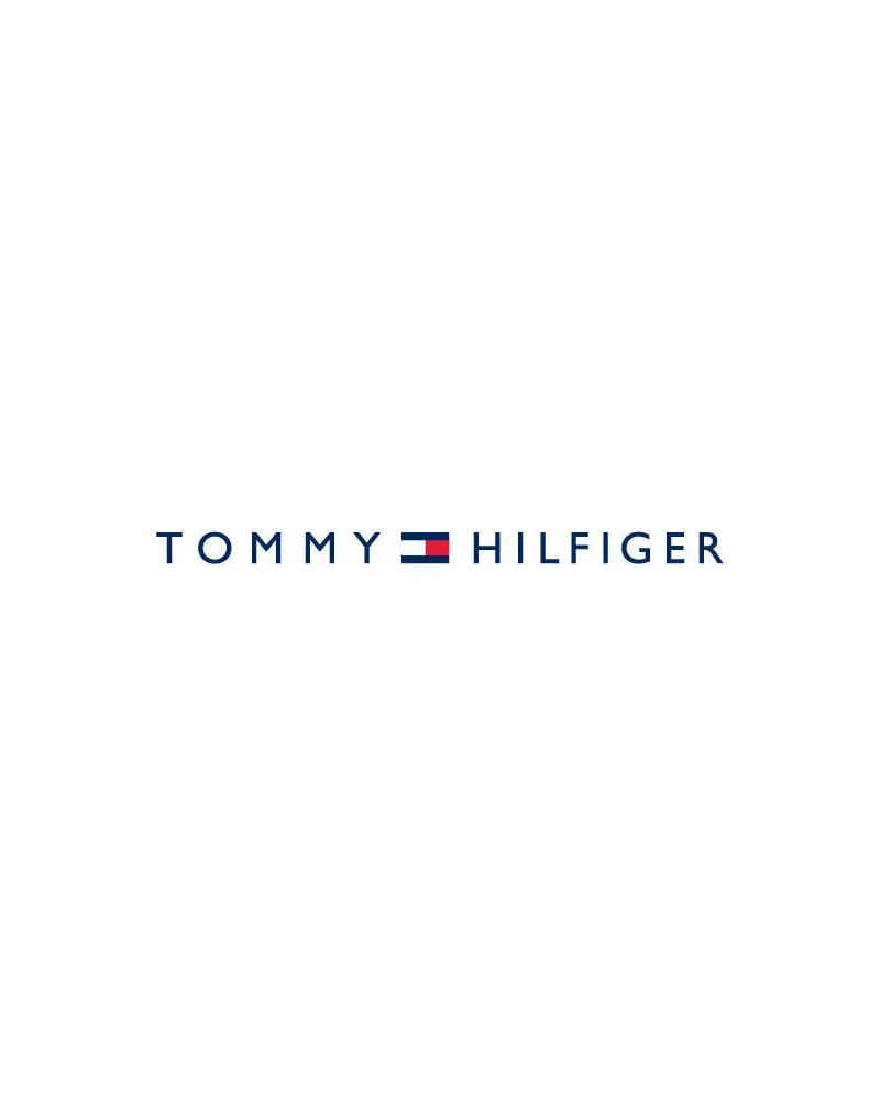 ZEGAREK MĘSKI TOMMY HILFIGER Norris 1710613 (zf126a) + BOX