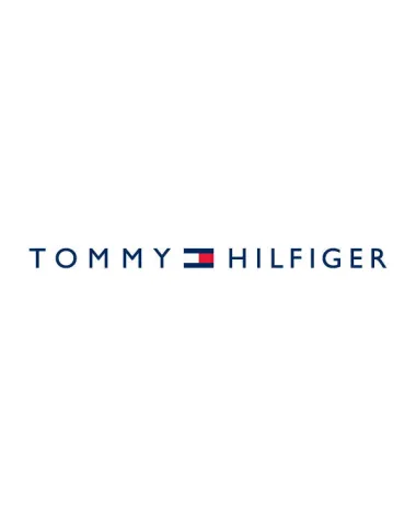 ZEGAREK MĘSKI TOMMY HILFIGER TYSON 1710587 (zf100j) + BOX