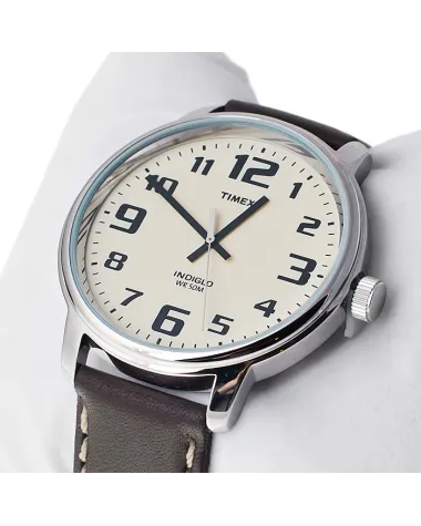ZEGAREK MĘSKI TIMEX South Street T28201 + BOX