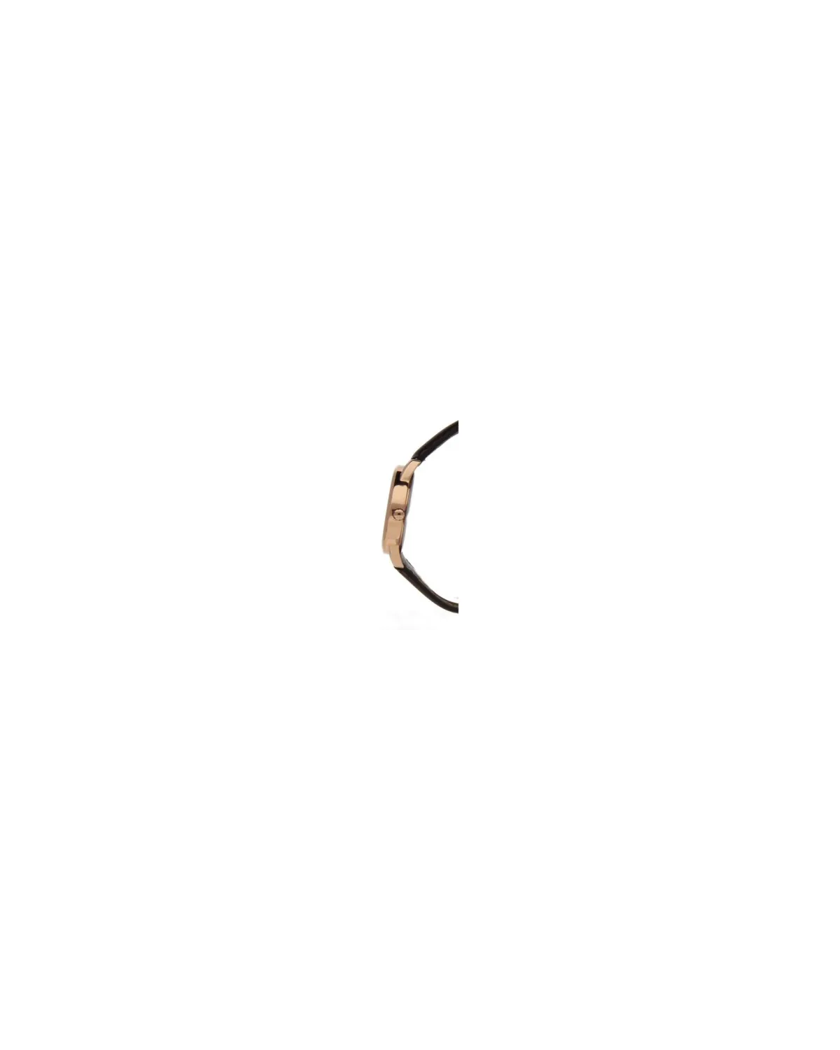ZEGAREK MĘSKI TIMEX T2P563